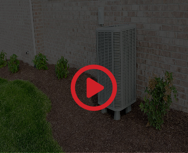 Video Thumbnail Mobile